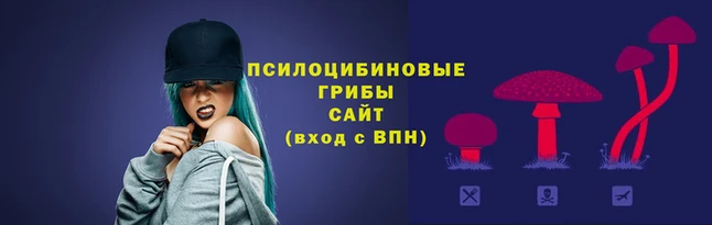 бошки Пестово