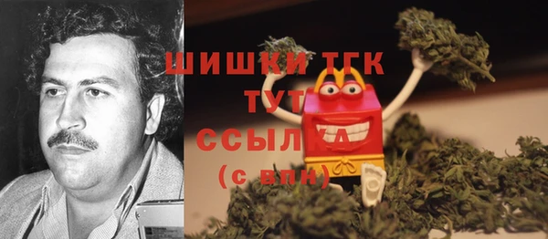 СК Богородск