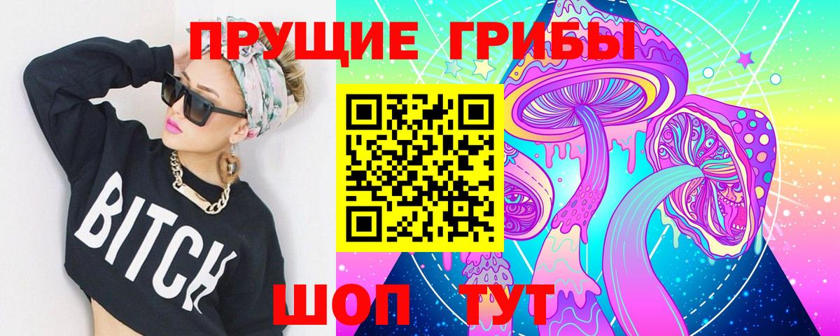 Галлюциногенные грибы Psilocybe  Вход с VPN  Красногорск 